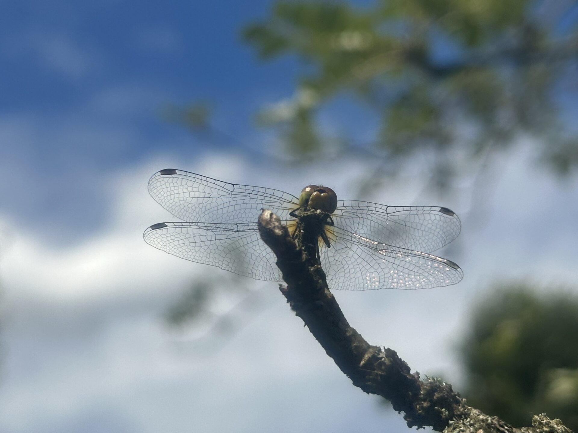 cel obrazka nie jest czysto dekoracyjny, that is not decoration