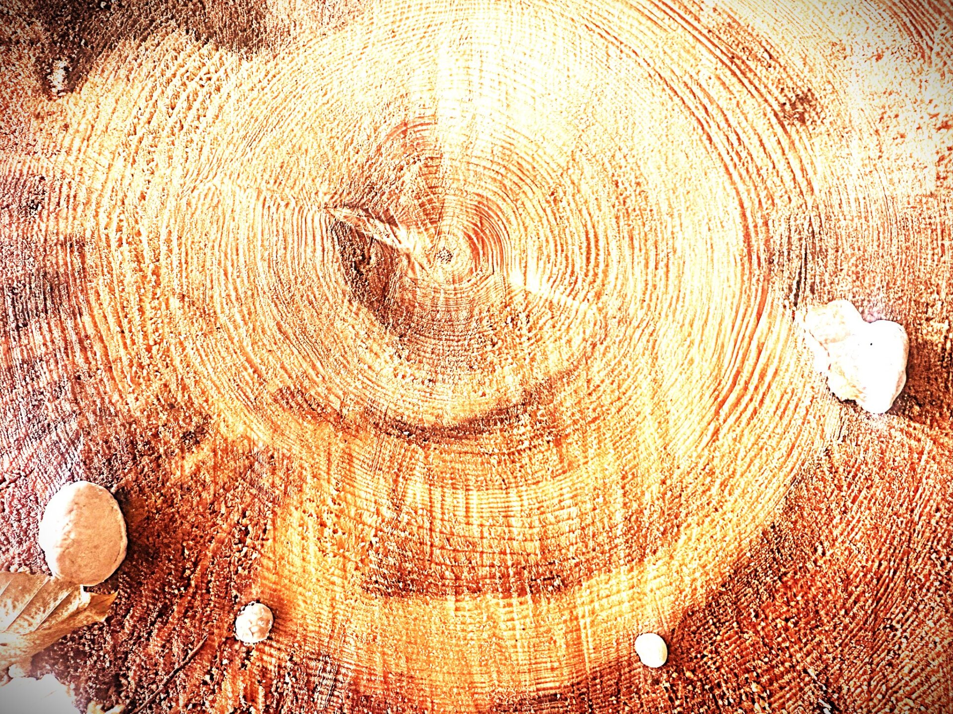 is for joy and money