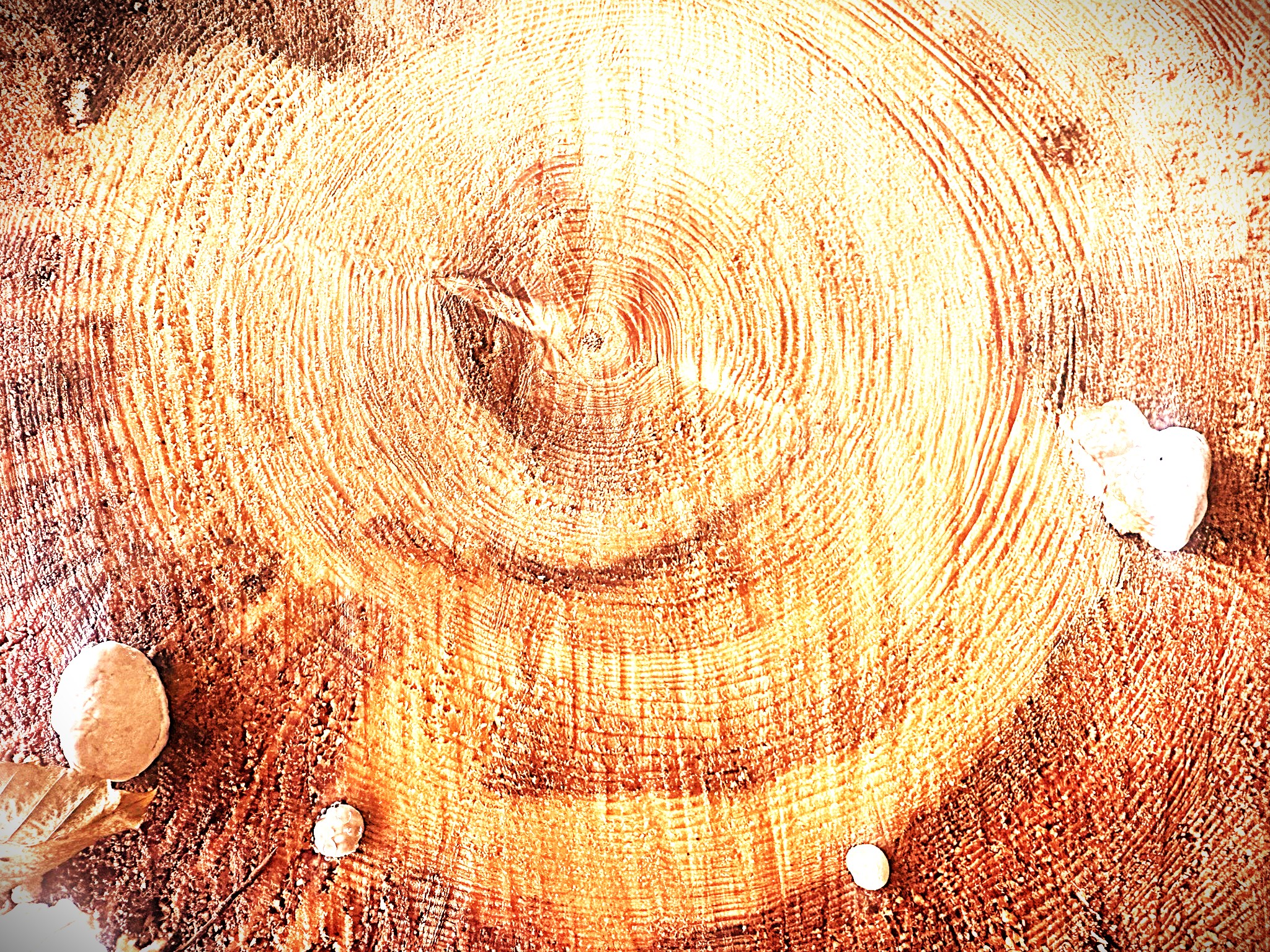 is for joy and money